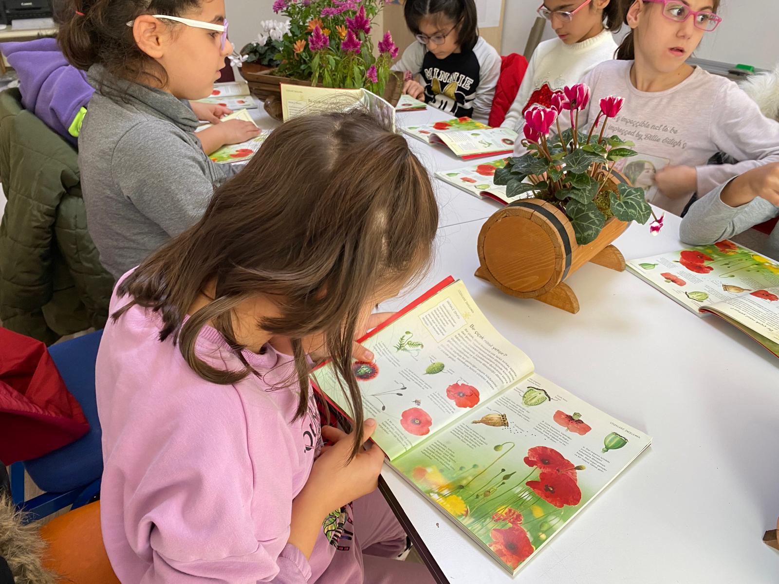 Kitap okuma ve doğa keşfi saati